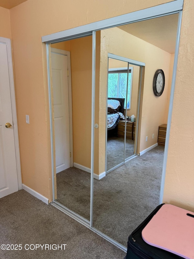 4100 W Peterson Bay Ct, Wasilla, AK 99623 - view of closet