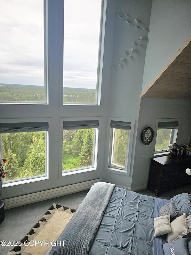1240 Chinook Dr, Kenai, AK 99611 - bedroom featuring a high ceiling