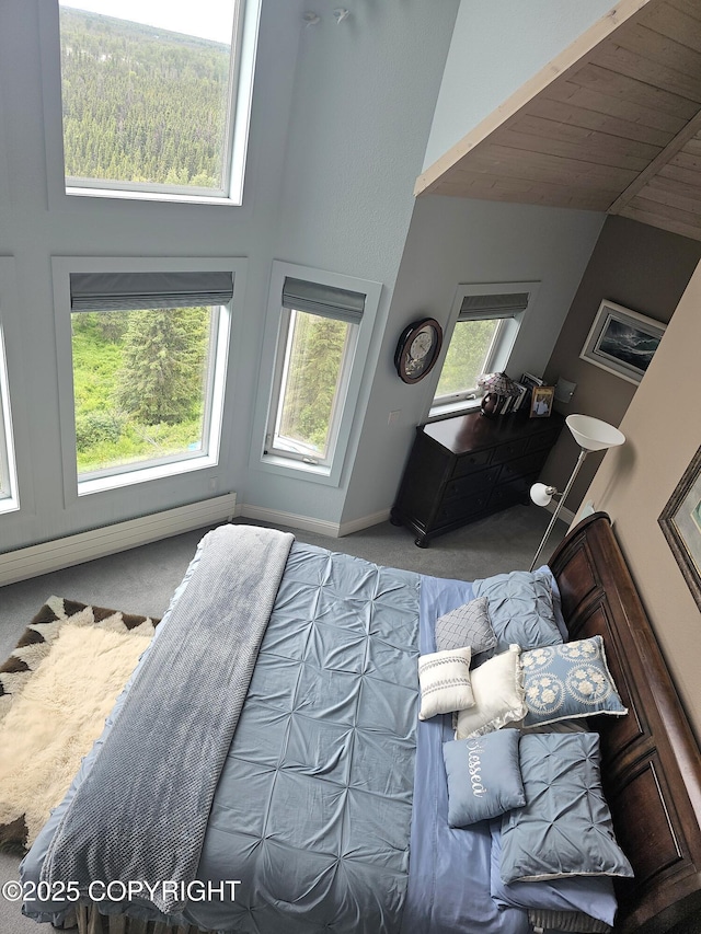 1240 Chinook Dr, Kenai, AK 99611 - carpeted bedroom with wooden ceiling and a high ceiling
