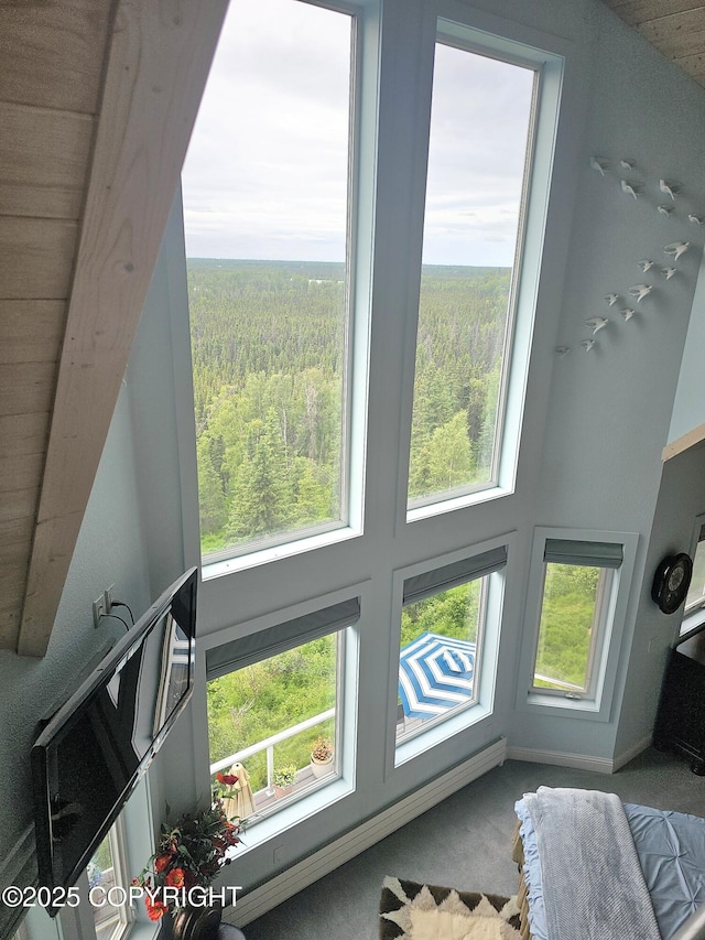1240 Chinook Dr, Kenai, AK 99611 - detailed view of a heavily wooded area and carpet floors