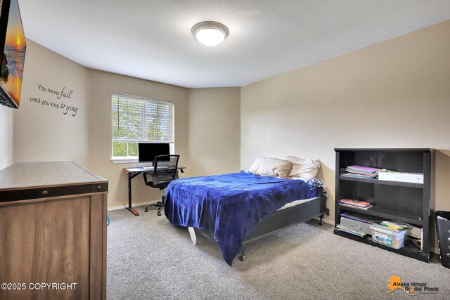 5213 W Bryce Cir, Wasilla, AK 99623 - photo 44