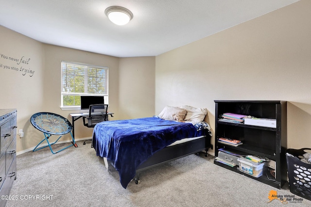 5213 W Bryce Cir, Wasilla, AK 99623 - photo 45