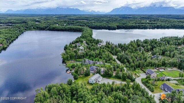 5213 W Bryce Cir, Wasilla, AK 99623 - photo 83