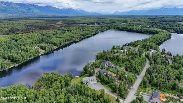 5213 W Bryce Cir, Wasilla, AK 99623 - photo 84