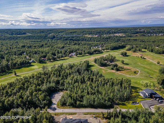 7517 S Frontier Dr, Wasilla, AK 99623 - photo 10