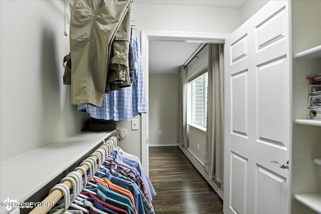 11351 Discovery View Dr # 106, Anchorage, AK 99515 - walk in closet with dark wood-style flooring and a baseboard radiator