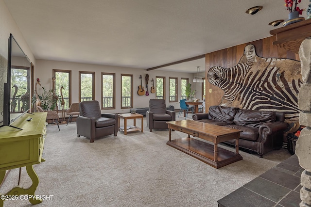 11851 Nebesna Dr, Anchorage, AK 99507 - view of carpeted living room