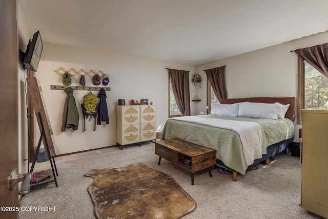 11851 Nebesna Dr, Anchorage, AK 99507 - view of carpeted bedroom