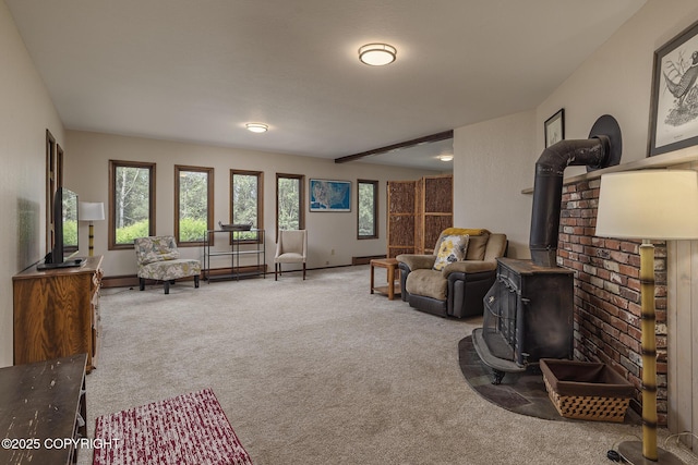 11851 Nebesna Dr, Anchorage, AK 99507 - living room with a wood stove and carpet