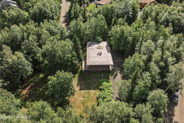 11851 Nebesna Dr, Anchorage, AK 99507 - aerial view of property's location with a forest