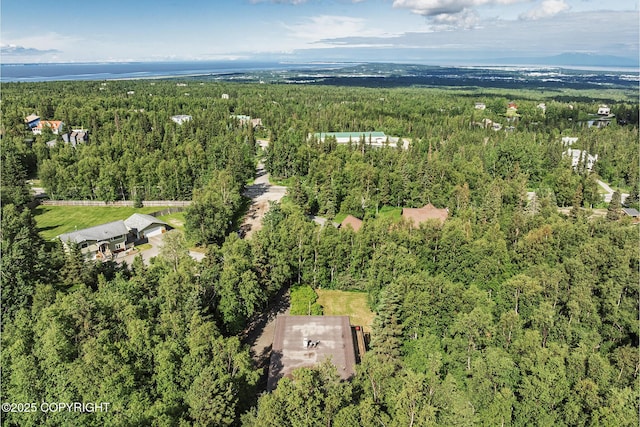 11851 Nebesna Dr, Anchorage, AK 99507 - bird's eye view of a forest