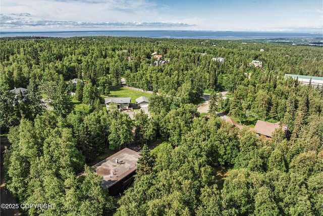 11851 Nebesna Dr, Anchorage, AK 99507 - aerial view of property's location featuring a forest