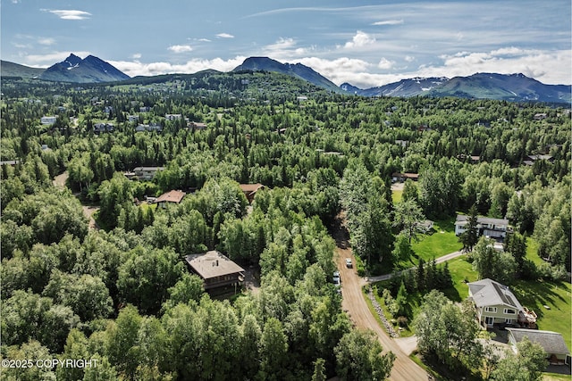 11851 Nebesna Dr, Anchorage, AK 99507 - bird's eye view of mountains