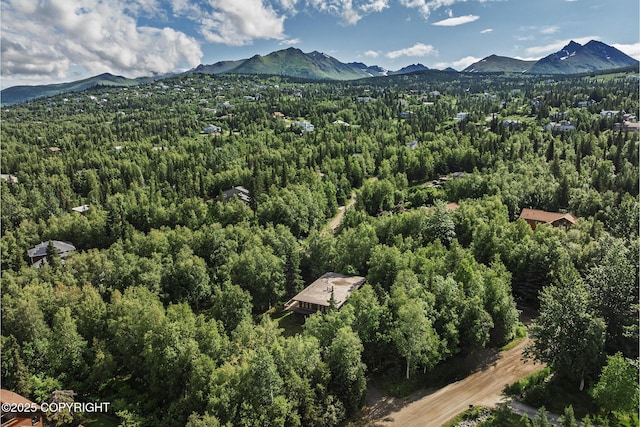 11851 Nebesna Dr, Anchorage, AK 99507 - aerial view of a forest and mountains