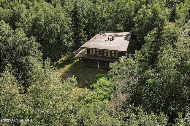 11851 Nebesna Dr, Anchorage, AK 99507 - view of subject property with a forest