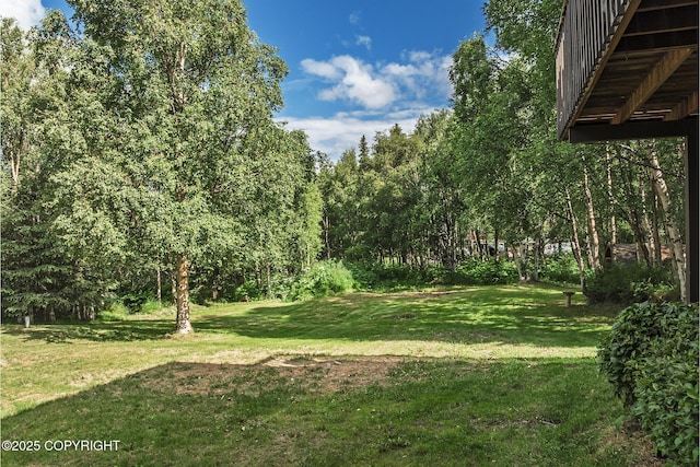 11851 Nebesna Dr, Anchorage, AK 99507 - view of grassy yard