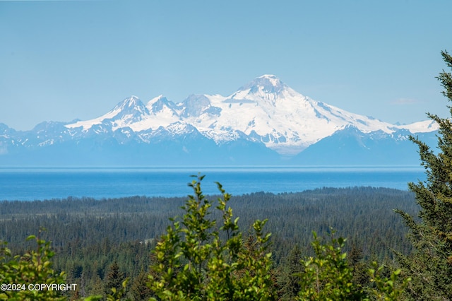 40997 Ruth Way, Homer, AK 99603 - photo 54