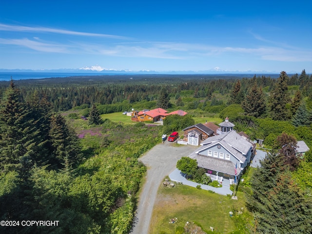 40997 Ruth Way, Homer, AK 99603 - photo 85