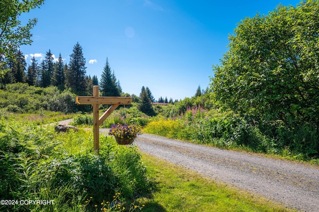 40997 Ruth Way, Homer, AK 99603 - photo 89