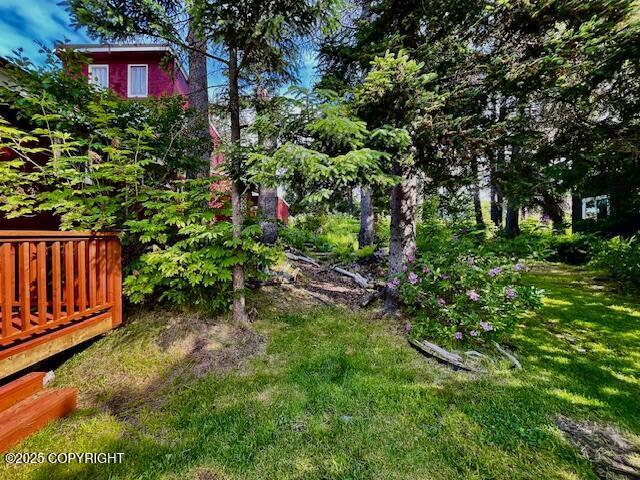 436 Grubstake Ave, Homer, AK 99603 - photo 19