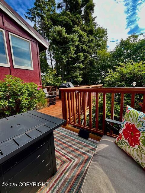 436 Grubstake Ave, Homer, AK 99603 - photo 25
