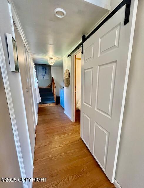 436 Grubstake Ave, Homer, AK 99603 - photo 8