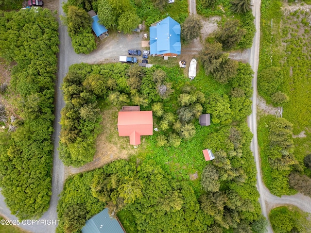 73956 Desa Ave, Anchor Point, AK 99556 - photo 44