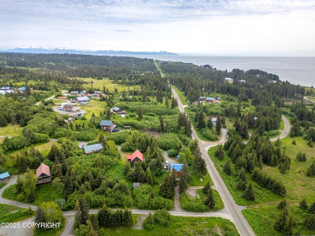 73956 Desa Ave, Anchor Point, AK 99556 - photo 43