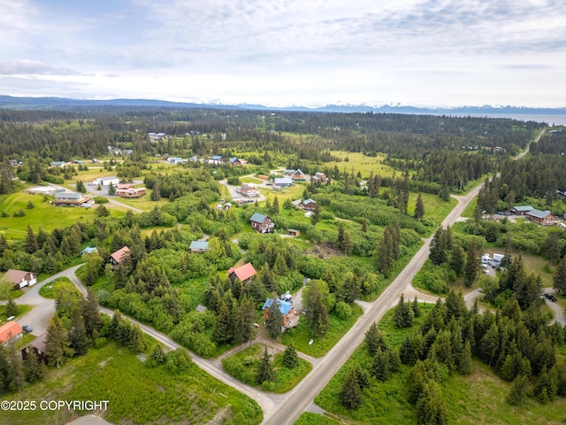73956 Desa Ave, Anchor Point, AK 99556 - photo 45