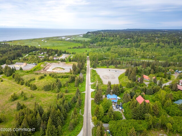 73956 Desa Ave, Anchor Point, AK 99556 - photo 42