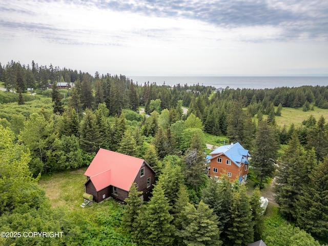 73956 Desa Ave, Anchor Point, AK 99556 - photo 34