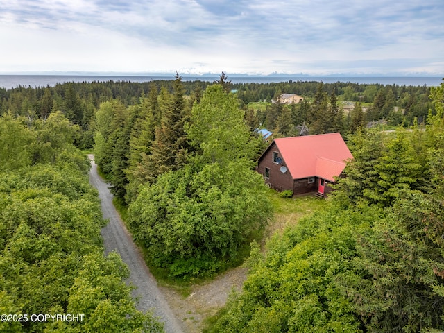73956 Desa Ave, Anchor Point, AK 99556 - photo 40