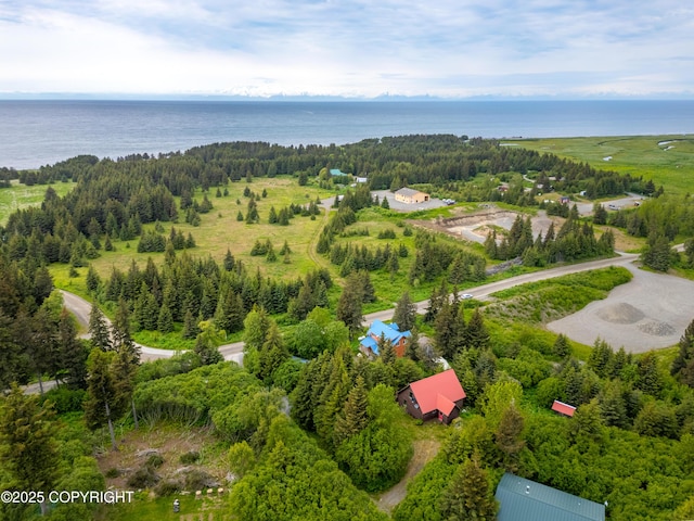 73956 Desa Ave, Anchor Point, AK 99556 - photo 41