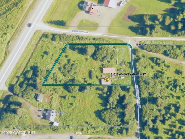 31025 Whiskey Gulch St, Anchor Point, AK 99556 - map / location with property parcel outlined