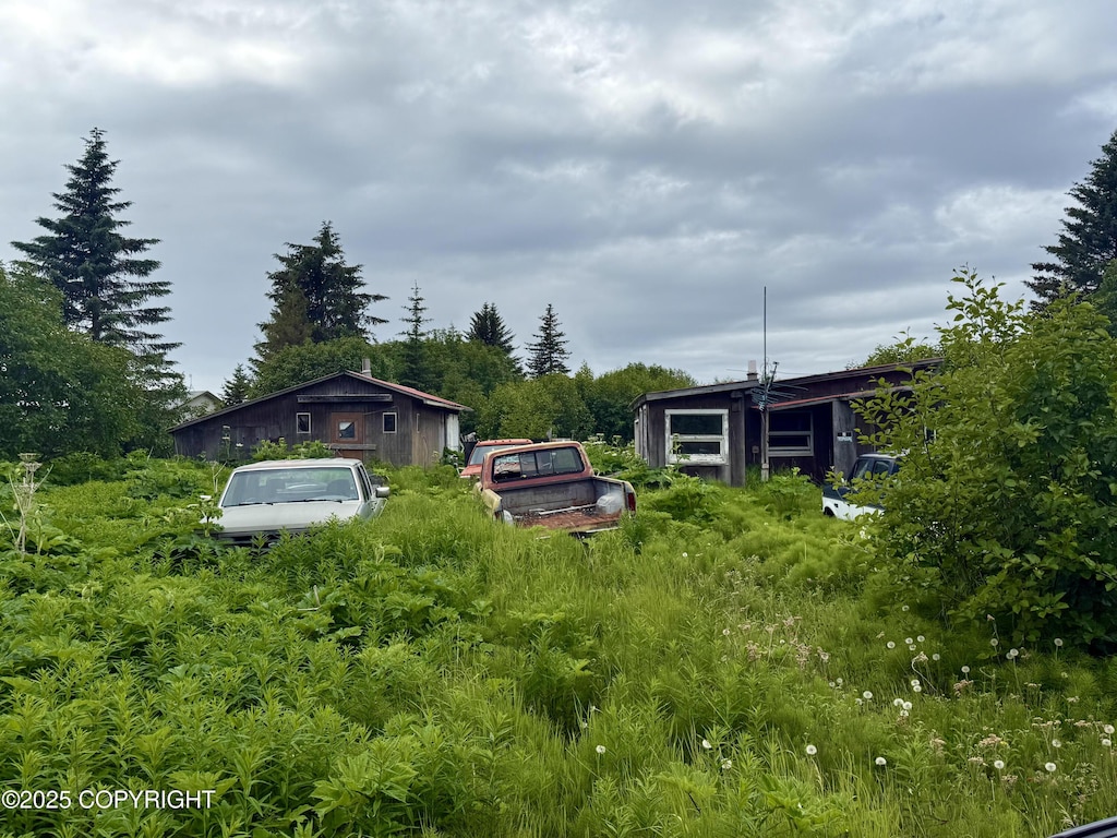 31025 Whiskey Gulch St, Anchor Point, AK 99556 - view of yard