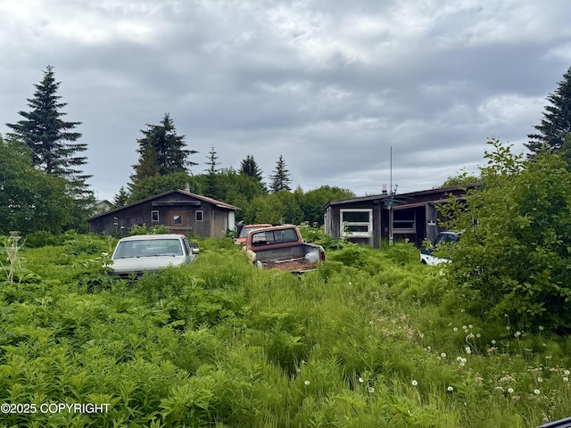 31025 Whiskey Gulch St, Anchor Point, AK 99556 - view of yard