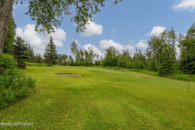 40800 Lopez Ave, Soldotna, AK 99669 - view of grassy yard featuring golf course view and view of scattered trees