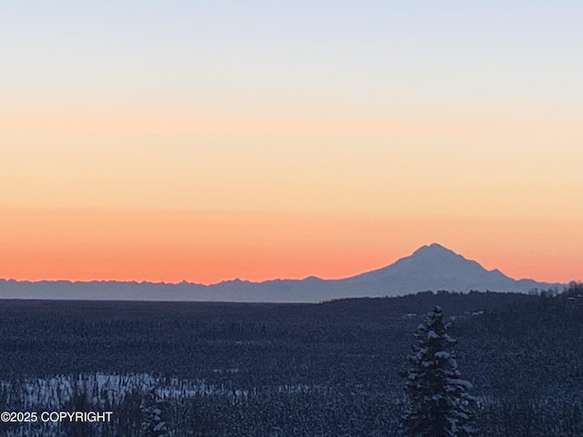 40800 Lopez Ave, Soldotna, AK 99669 - mountain view