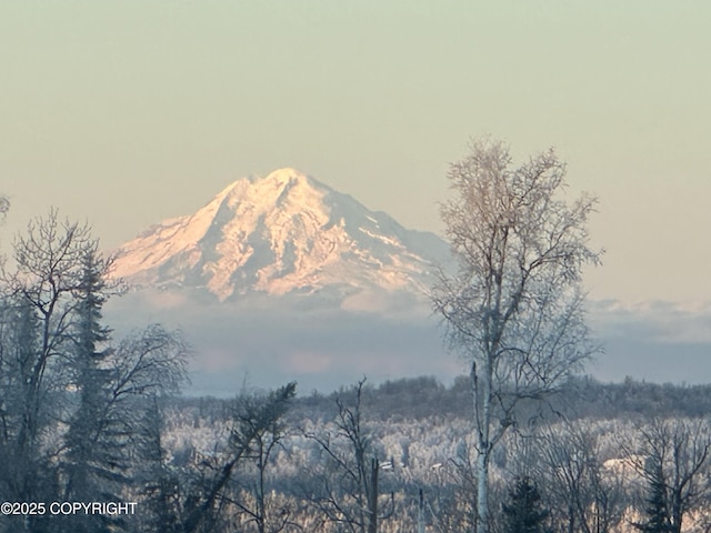 40800 Lopez Ave, Soldotna, AK 99669 - mountain view