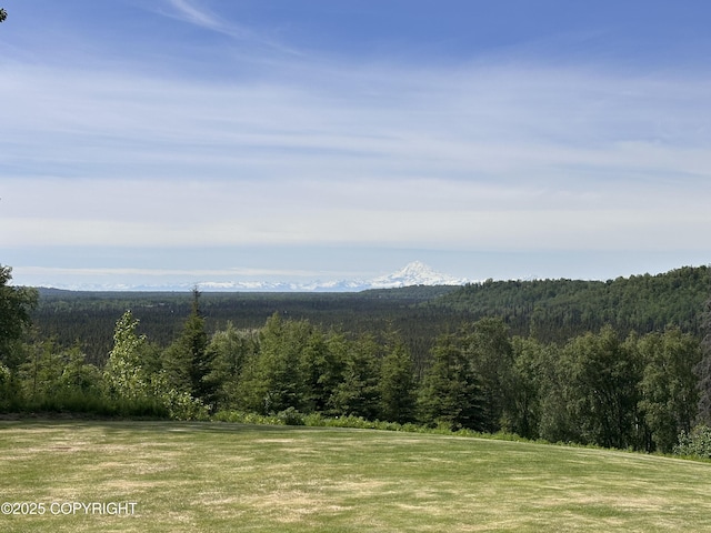 40800 Lopez Ave, Soldotna, AK 99669 - view of yard featuring a view of trees