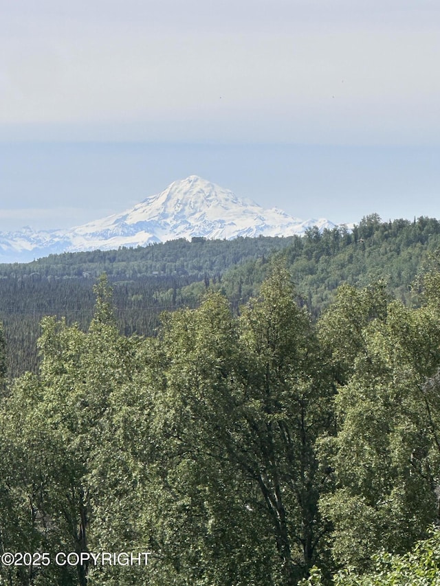 40800 Lopez Ave, Soldotna, AK 99669 - view of mountain background featuring a heavily wooded area