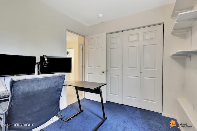 11929 W Wasey Cir, Houston, AK 99623 - office space featuring dark carpet