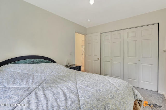 11929 W Wasey Cir, Houston, AK 99623 - carpeted bedroom with a closet