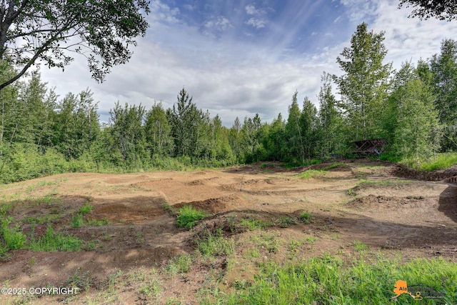 11929 W Wasey Cir, Houston, AK 99623 - view of local wilderness