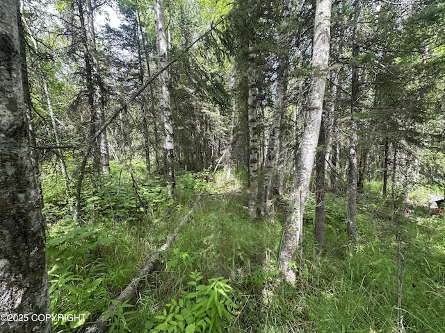4001 S Vine Rd, Wasilla, AK 99623