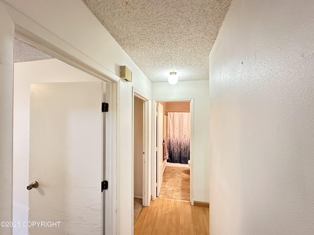 108 S Leibrock St, Soldotna, AK 99669 - hallway with light wood-style floors and a textured ceiling