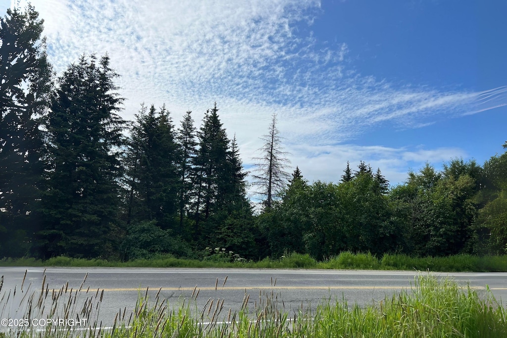 1611 E End Rd, Homer, AK 99603