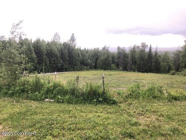 4033 W Sunrise Rd, Wasilla, AK 99623 - view of wooded area featuring a view of rural / pastoral area