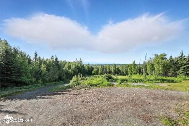 4033 W Sunrise Rd, Wasilla, AK 99623 - photo 105