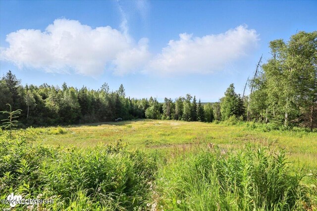 4033 W Sunrise Rd, Wasilla, AK 99623 - photo 128